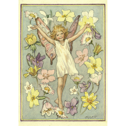 Primrose Fairy