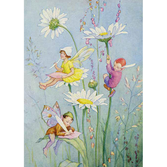 Daisy Fairies